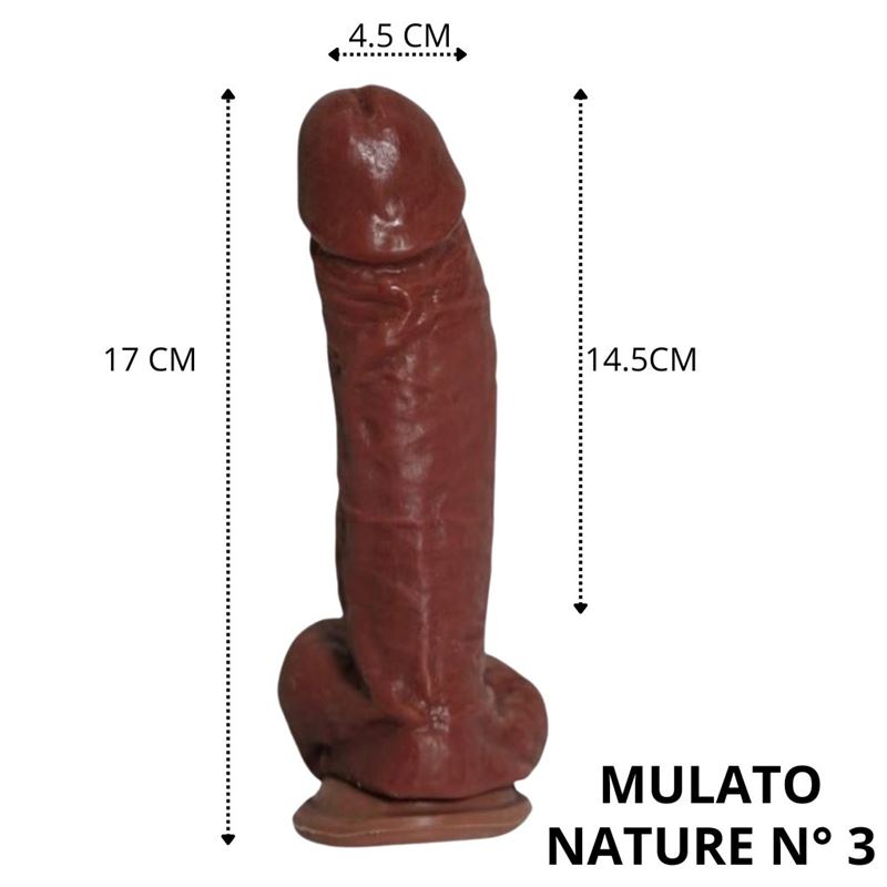 Nature Mulato N 3 - 17 X 4.5 Cm - Introducibles 14.5Cm - - Imagen 3